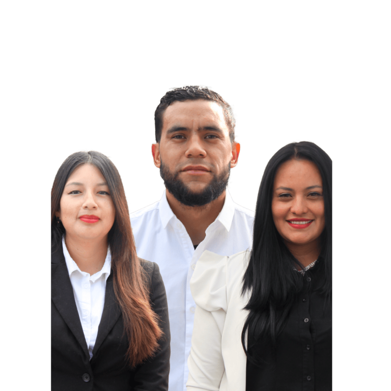 Docentes profesionales